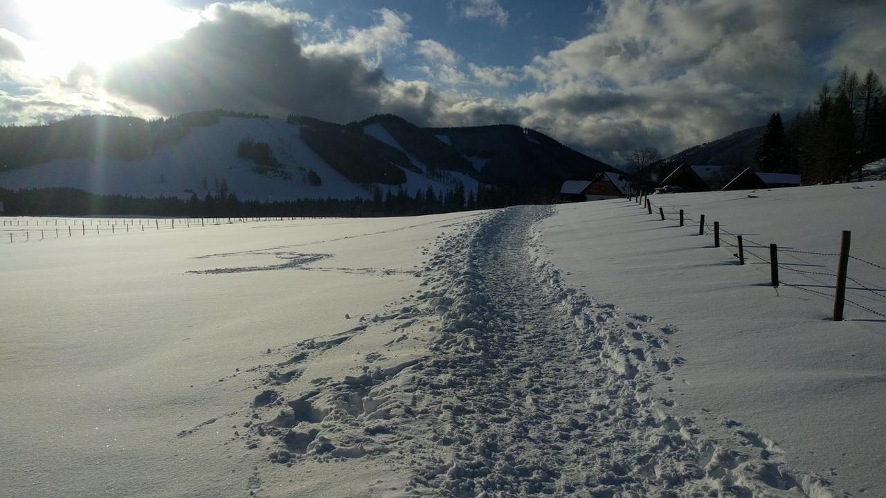 Heidi'S Schlummerkiste Am Fuss Der Teichalm Breitenau am Hochlantsch Extérieur photo