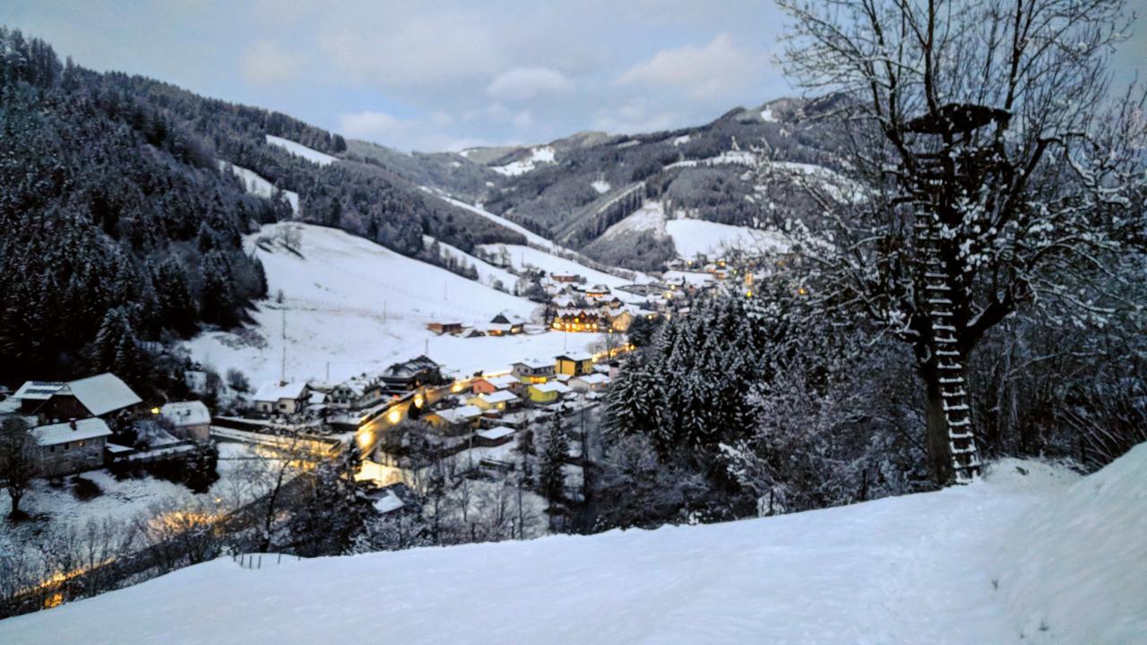 Heidi'S Schlummerkiste Am Fuss Der Teichalm Breitenau am Hochlantsch Extérieur photo